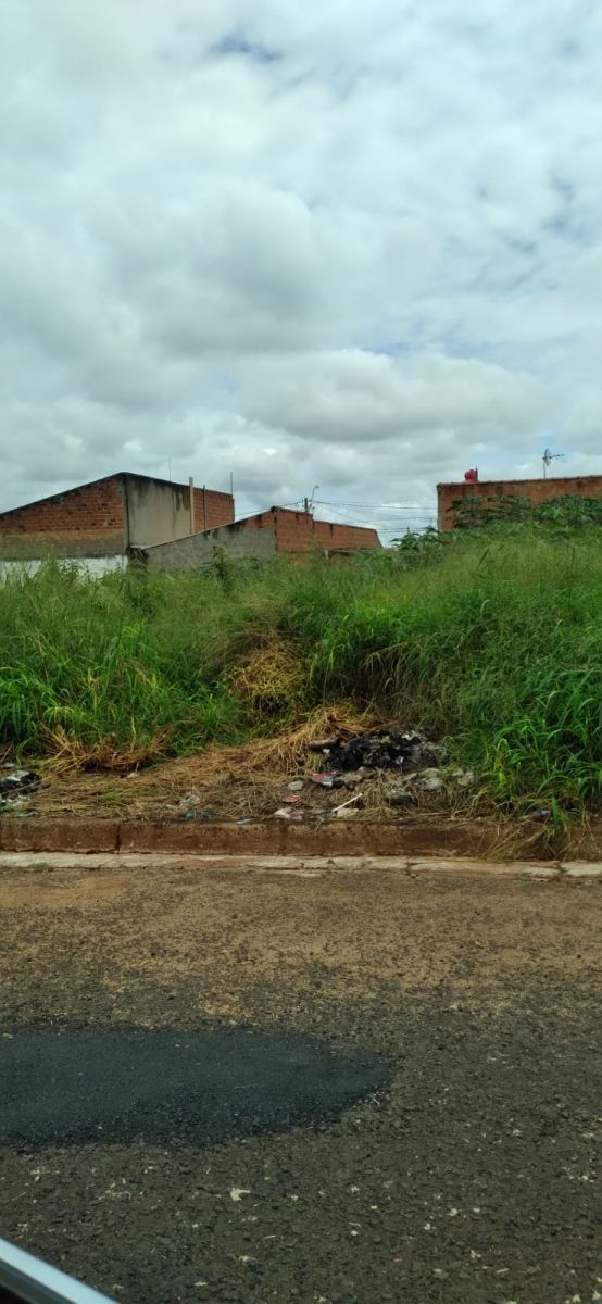 Mato alto e lixo no terreno  
